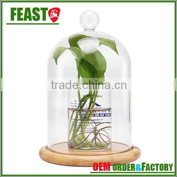 high borocilicate clear glass dome