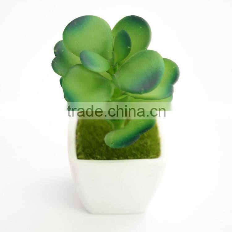 Wholesale indoor home decoration artificial plant with cement flower pot