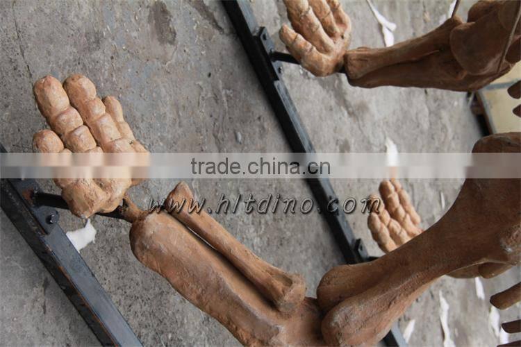 Dinosaur skeleton from Zigong HLT dinosaur skeleton manufacture