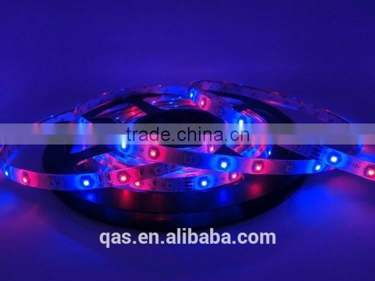 60LEDs/m DC12V SMD3528 Led Strip