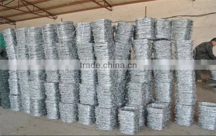 made in China galvanized & SS barbed wire fence on sale