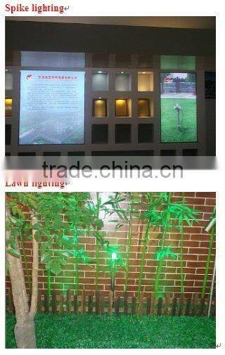 316Stainless steel body and aluminum decorative lighting