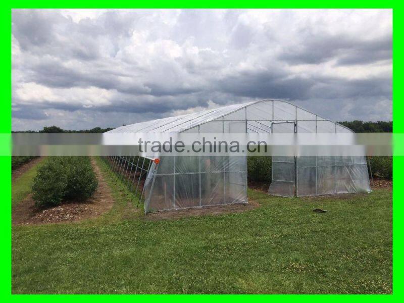 Vegetable-growing Greenhouse-commercial greenhouses