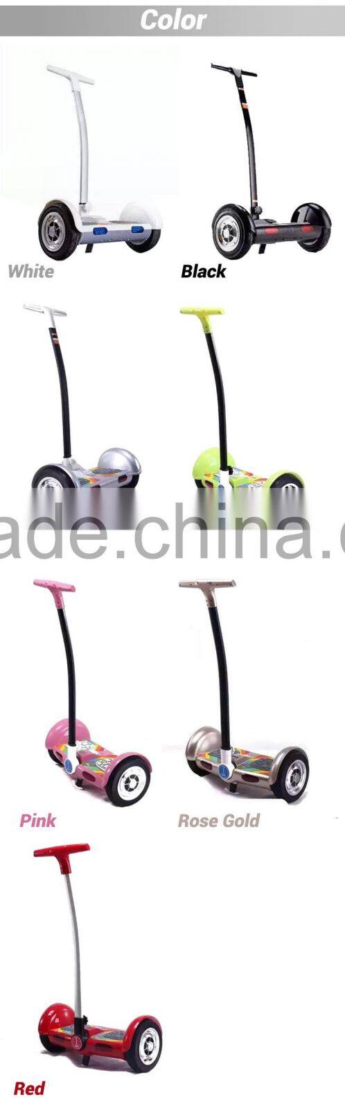 2 Wheel Standing Self Balance Electric Scooter/48v 20ah Battery Power Electric Scooter/750w Electric Scooter