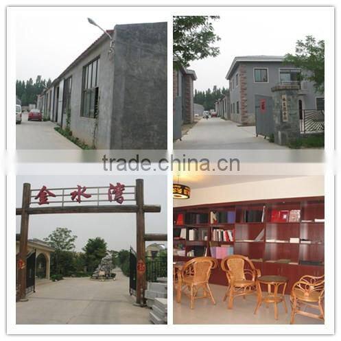 New design 650 UV coating machine for photo