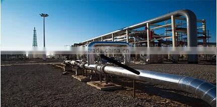 45 degree stainless steel elbow