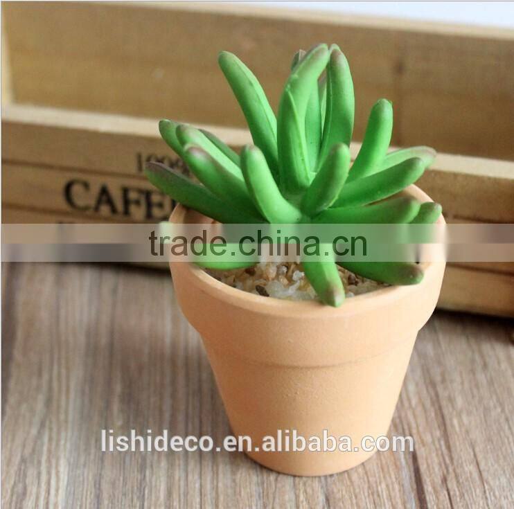 High Quality Artificial Succulent Plants Export Succulent Plants