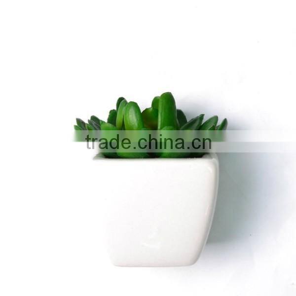 Artificial Echeveria Succulent in dark Green Wide Bloom