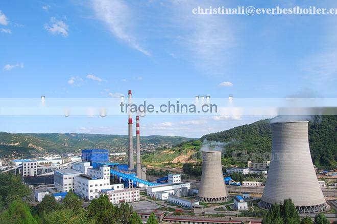 Coal Fired Biomass Fired CFB boiler circulation fluidized bed boiler power plant steam boiler