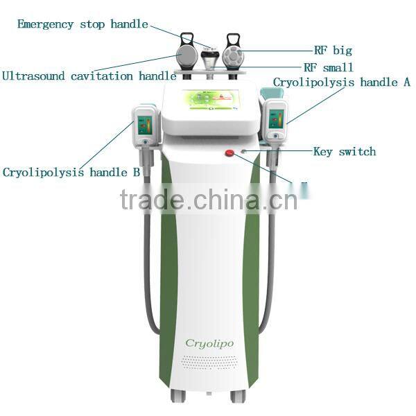 NEWS! Sales Promotion professtional 2 hand pieces Cryolipolysis cryo liposuction machine