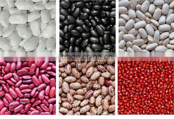 2013 Chinese Bulk Fresh Green Mung Bean For Sale