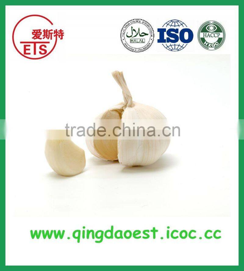 Chinese hot sale fresh cabbage with high quality