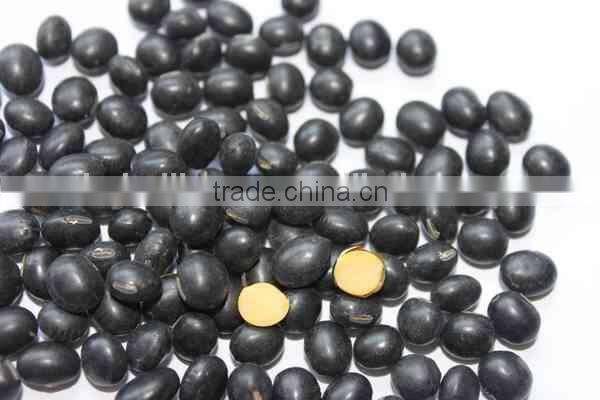 black soybeans with yellow kernel
