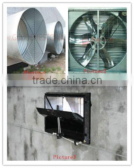 poultry automatic feeding and drinking system
