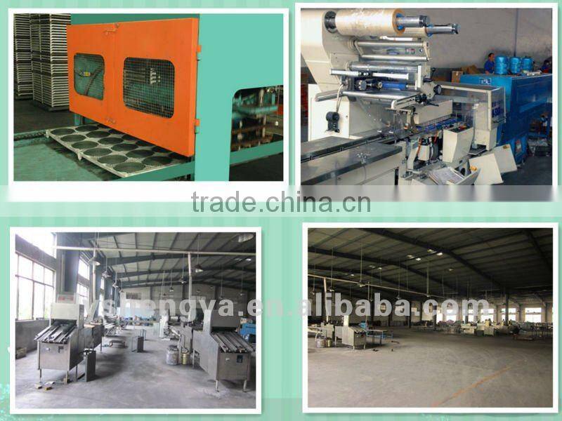 THEsafean health y mosquito coil