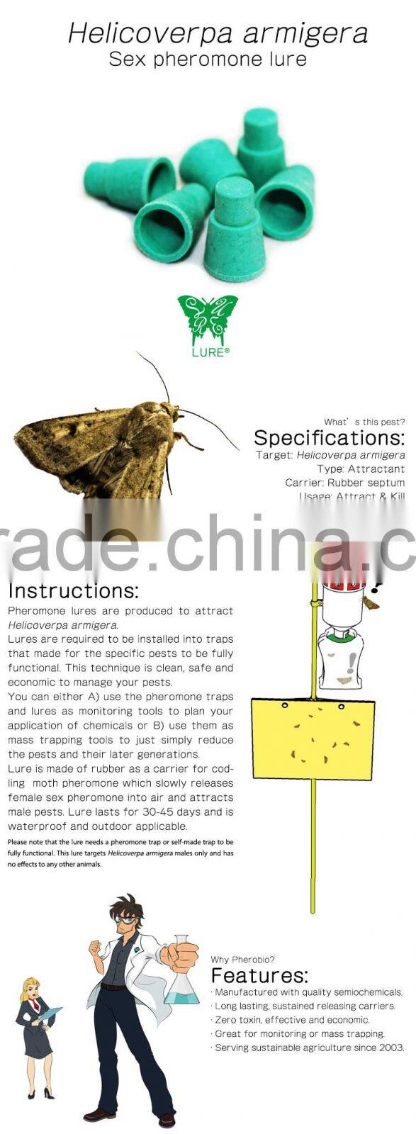 Pheromone Lure for Helicoverpa armigera (Cotton Bollworm), Pheromone Attractant