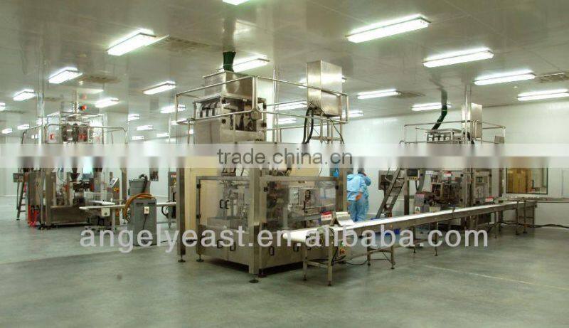 halal chicken bouillon powder 100g, 200g, 450g, 500g, 1kg, 10kg, 20kg