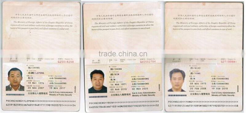 CE and BV certificate animal feed making machine/extruder machine