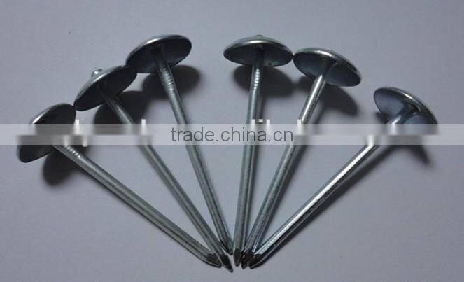 1.5"*14G Umbrella Head smooth plain Shank Roofing Nail china factory