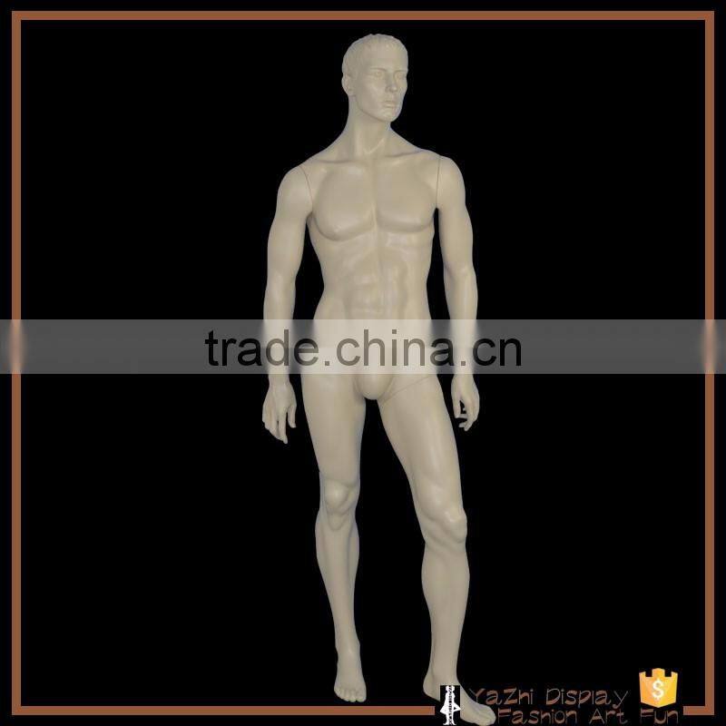 2017 new type Full Body Cheap manikin man For Sale