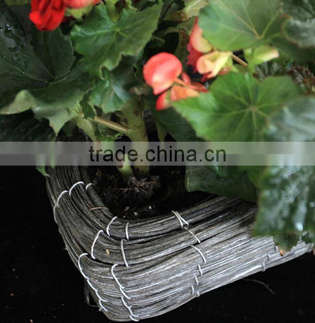 Family garden flowerpot gray biodegradable square wicker basket for plant