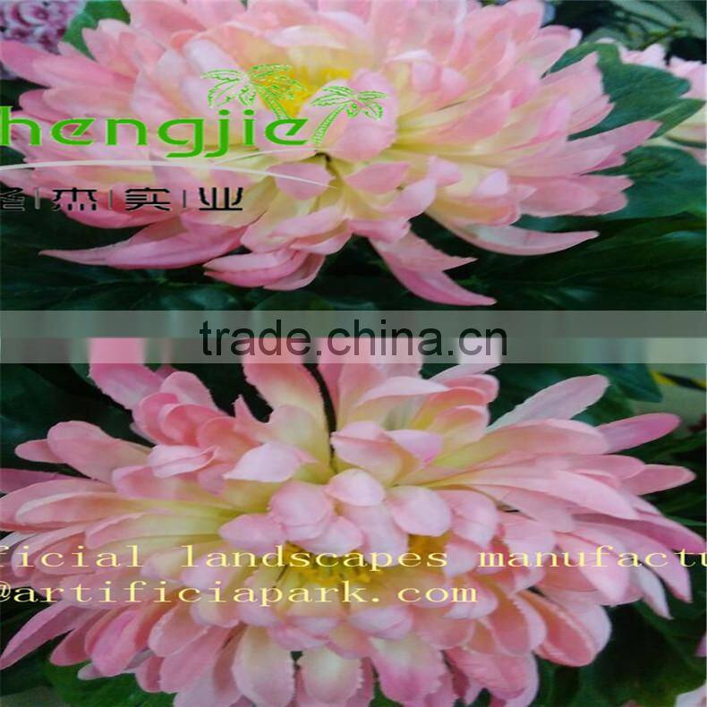 coconut trees pyrene