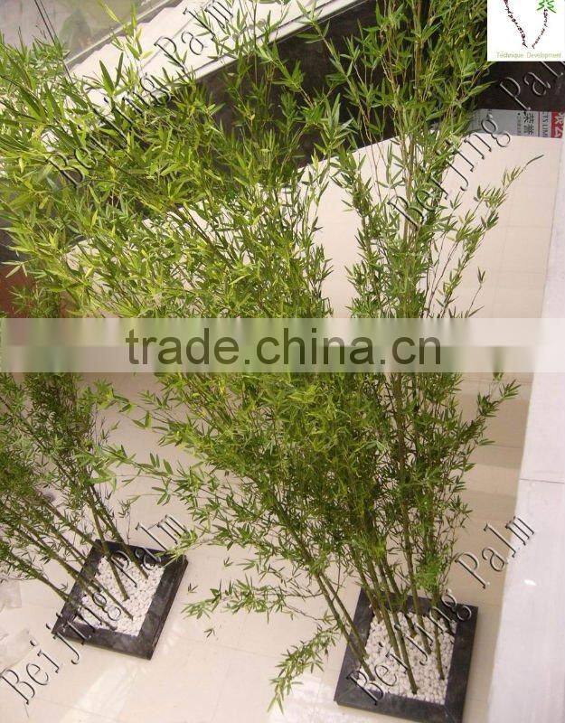Plastic Mini Bamboo Interior Decoration For Garden Ornaments