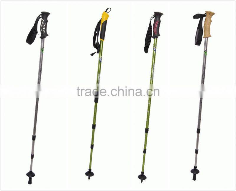 GS approved hiking poles