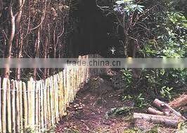 chestnut fence hardwood fence