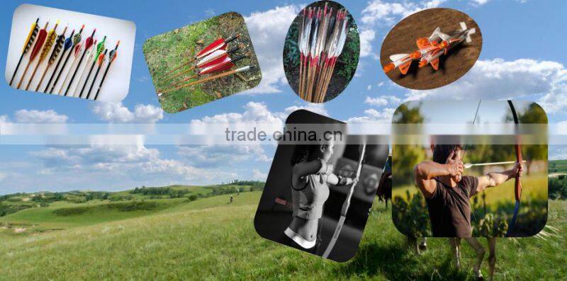 8mm Fiberglass Arrow Shafts With Round Points For Children' Camp