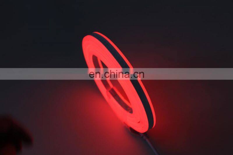 Shenzhen IP68 double sided blue 2835 24v led flexible neon strip light