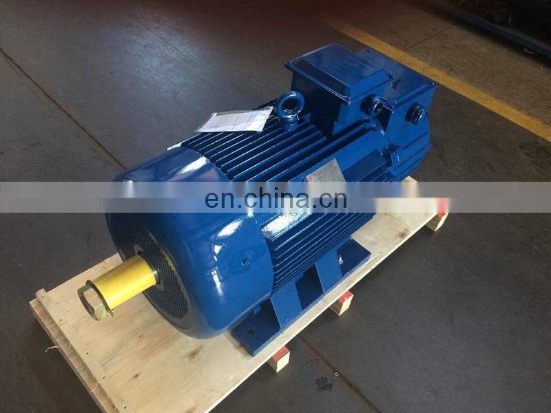 S3 Duty Tower Crane three phase electric motor