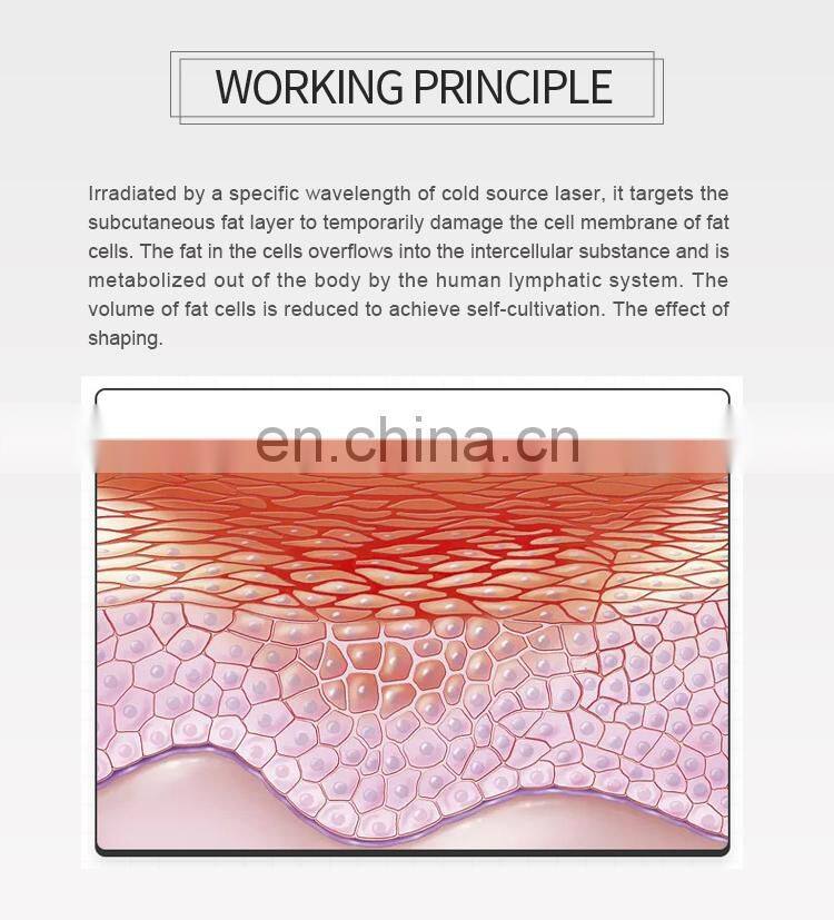 2022 6D laser slimming Weight Loss Shape body shaping red 635nm Wavelength cryo Laser EMS Therapy Fat Removal Machine with CE