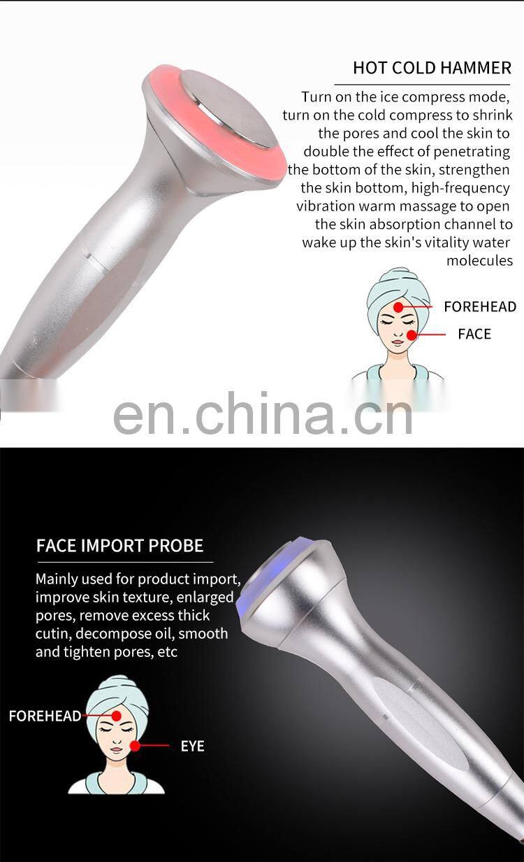 10 IN 1 Comprehensive Facial Massager Beauty Instrument Ion Bubble Cleansing Oxygen Hydration Rejuvenation Skin Care Machine