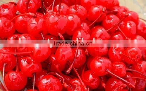 canned cherry with high quality