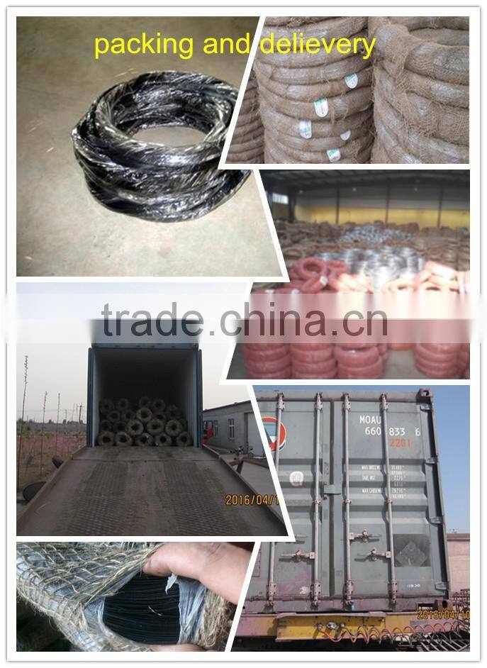 Factory directly supplied stainless steel iron twist tie electrical wire soft annealed iron wire electro galvanized wire