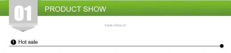 Little Giant agility ladder