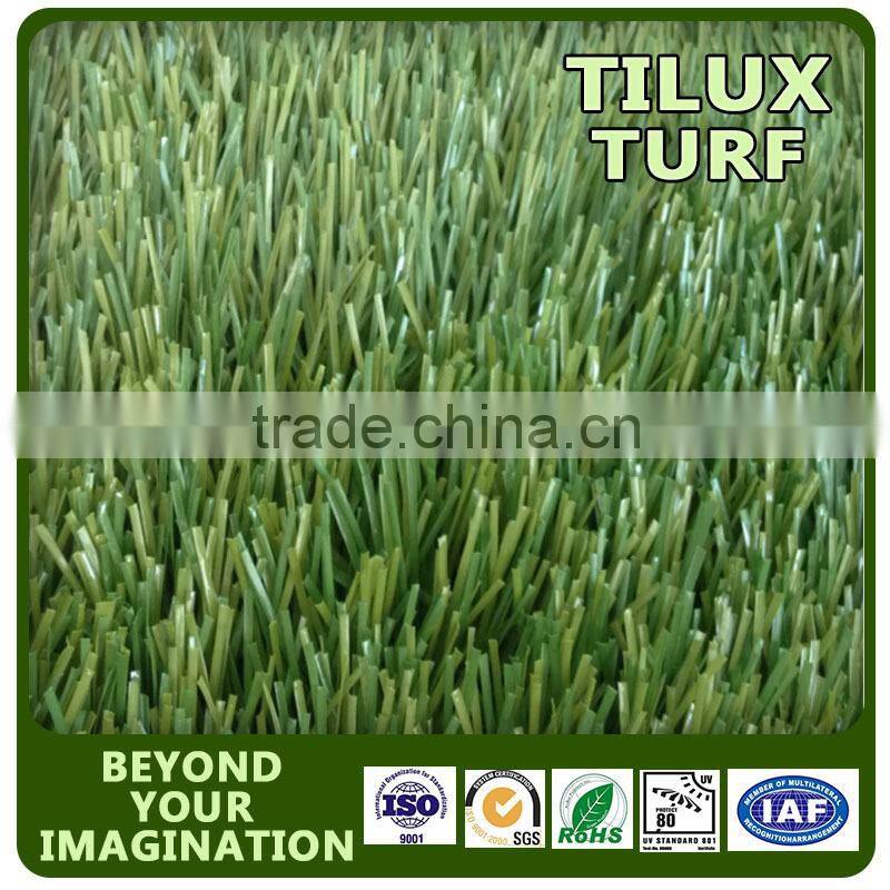 America Football Grass