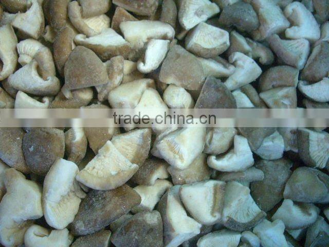 IQF FROZEN shiitake mushrooms quarters