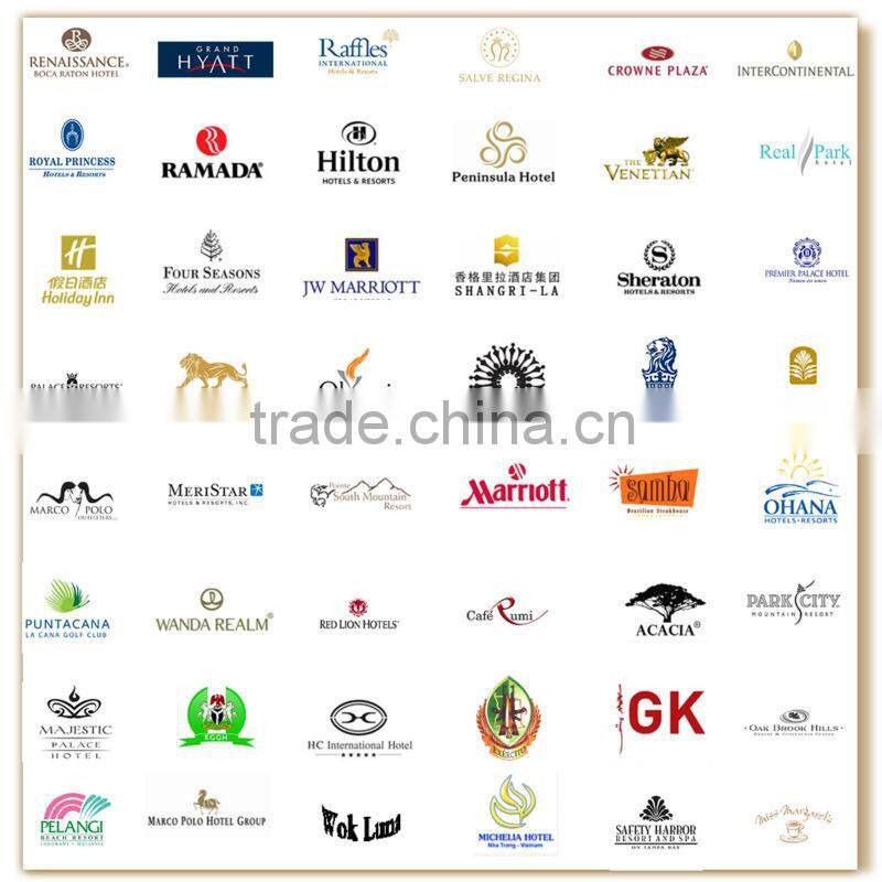 High quality hotel chinaware, wholesale dishes for buffet