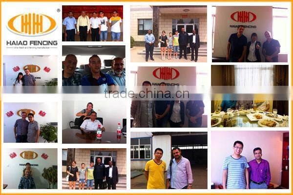 Wholesale 1.25 pound agriculture galvanized unpainted t fence post