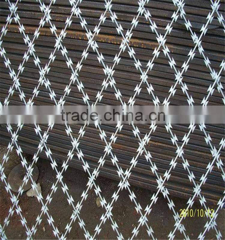 Wholesale Hot Dipped Razor Barned Wire