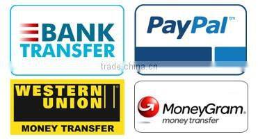 Speaker Lamp Night Light Lantern with Strap Wireless Audio Speaker 3.5mm Audio Input 10 Min Timer