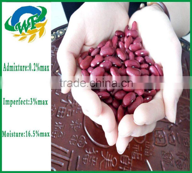 new Crop Dark Red Kidney Beans
