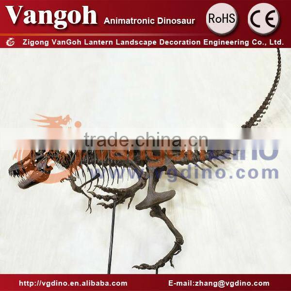 dinosaur fossil skeleton dino