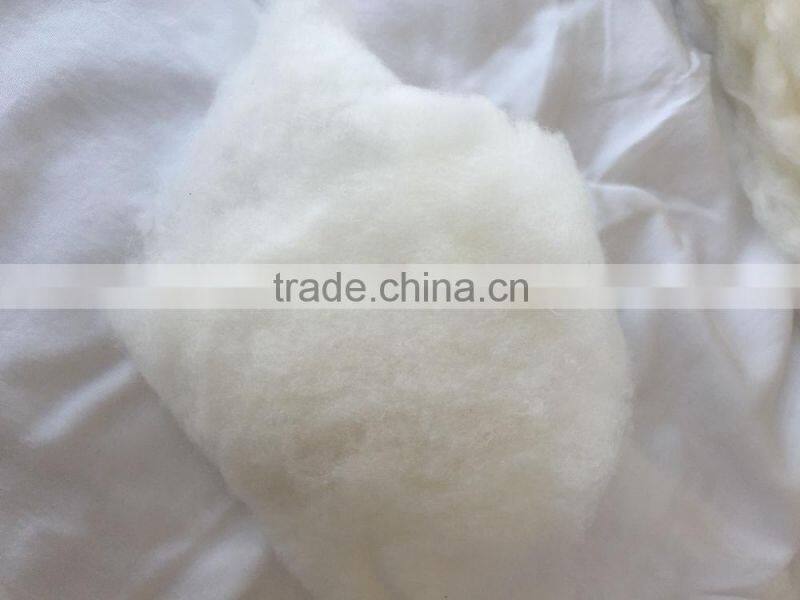 Shengsheng fine padding wool filling outdoor black winter jacket for women sportswear