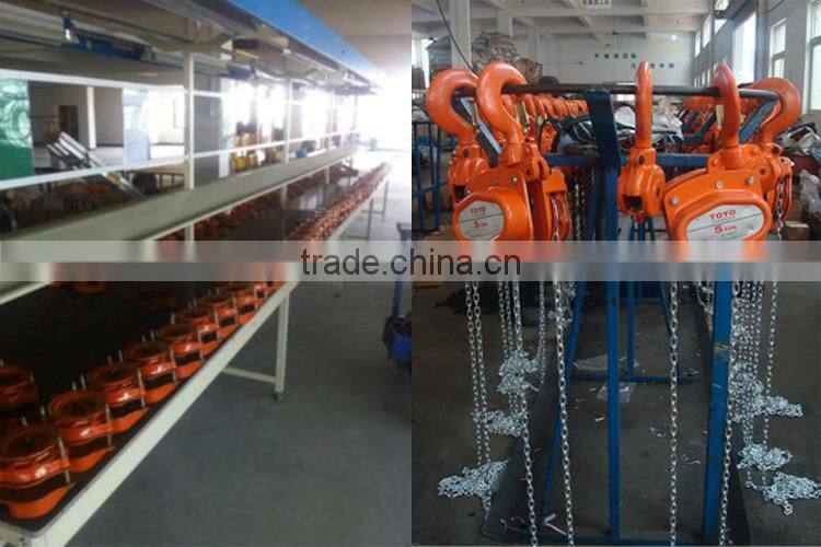 Triangle Shape Customized Chain Hoist Block Different Capacity Chain Block Hoist