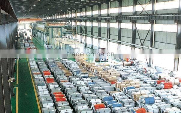 pre-painted galvanized coil/ppgi