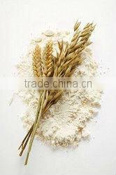 Wheat Flour