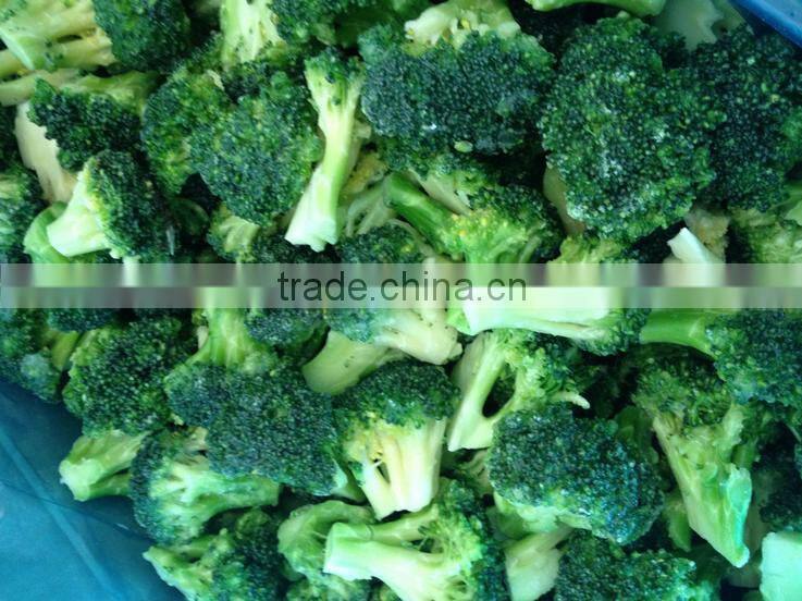 Health Food Halal Food Quick Frozen broccoli